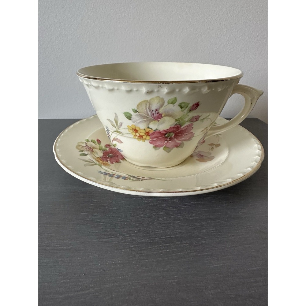 Vintage Crooksville China Colorful Pink‎  Floral Coffee Tea Cup And 7" Saucer